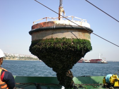 FOTOĞRAF GALERİ