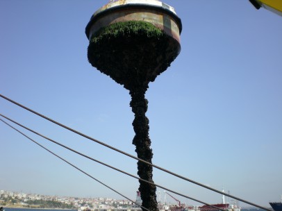 FOTOĞRAF GALERİ